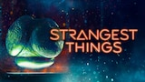 Strangest Things
