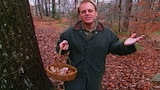 The Fungal Gourmet