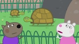 The Zoo