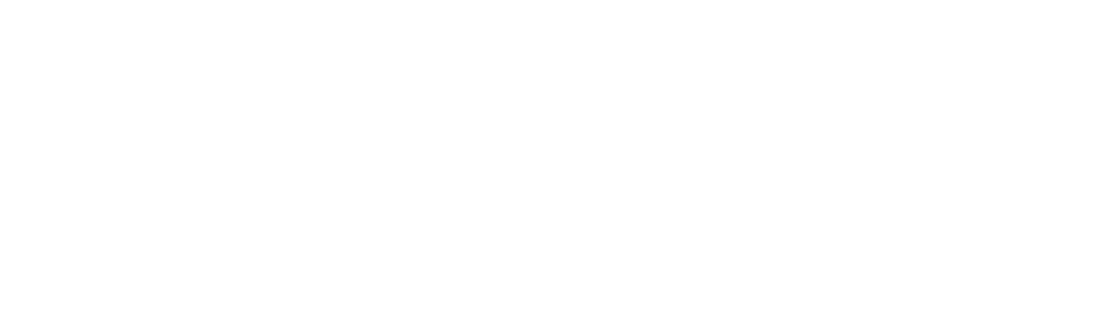 Jackie Seigel - A Rainha de Versalhes