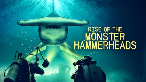Watch Rise of the Monster Hammerheads | discovery+ - Cast Of Rise Of The Monster Hammerheads Television Show