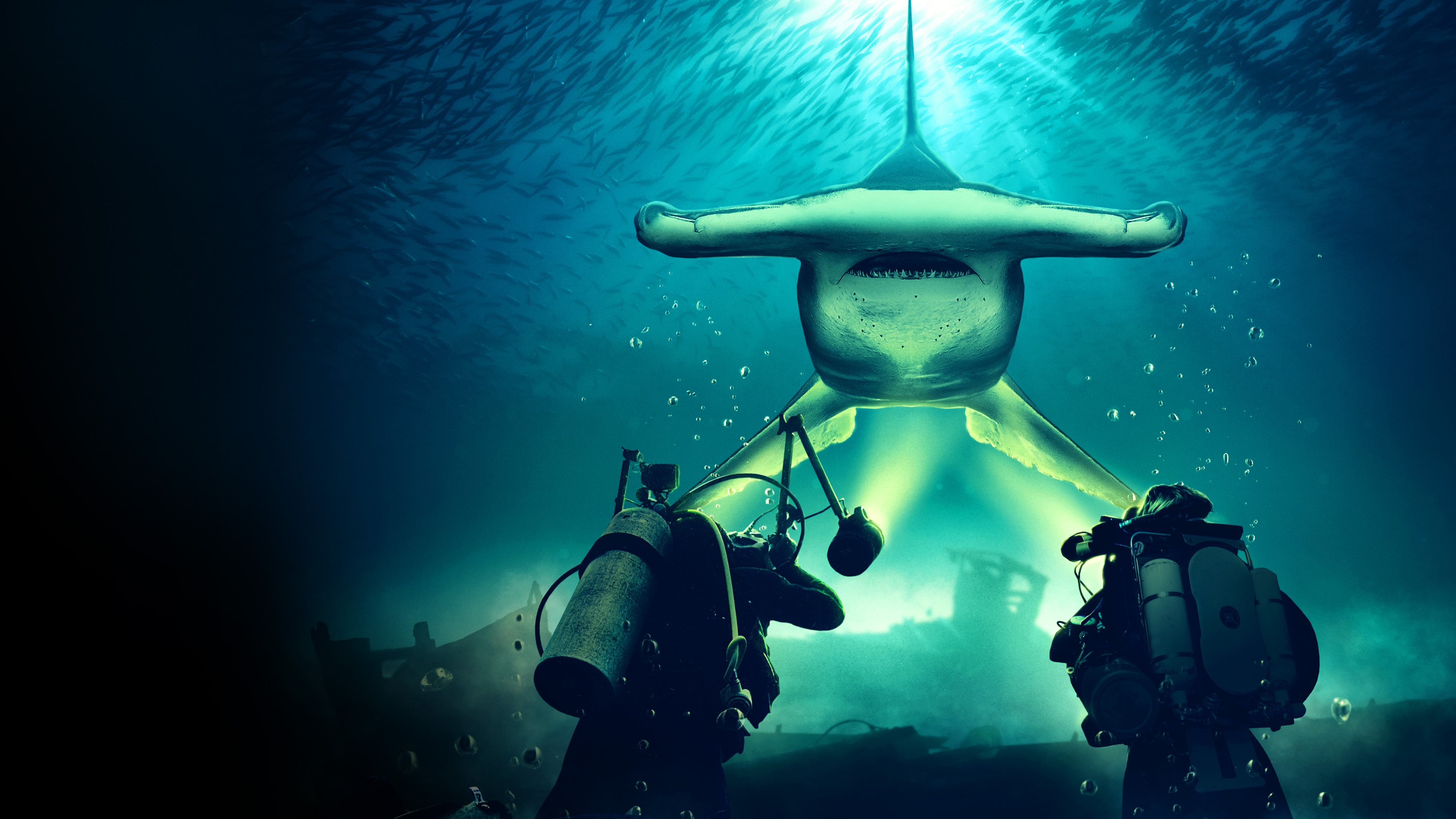 Watch Rise of the Monster Hammerheads Max