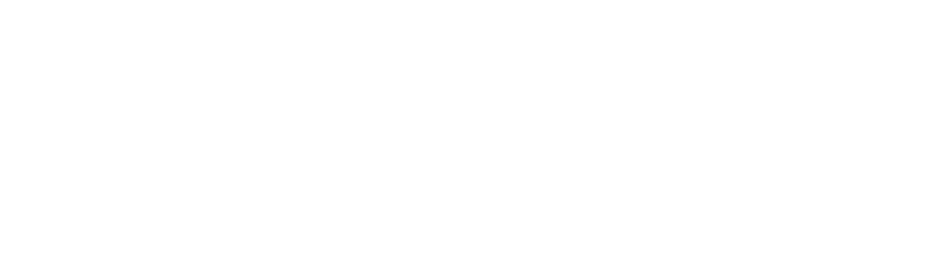 Búsqueda incansable