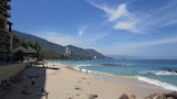 Pick of the Litter in Puerto Vallarta