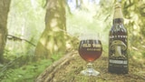 Wet and Wild Pacific Northwest