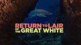 Return to Lair of the Great White