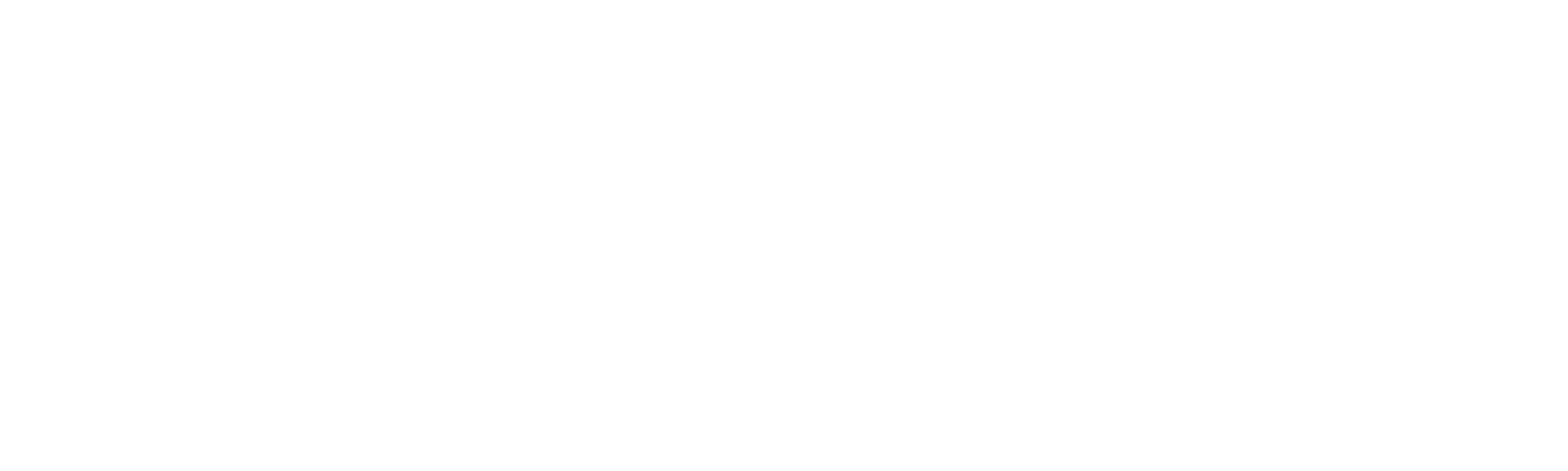 O Assassinato de Gabby Petito: O Que Aconteceu?