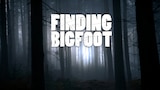 Finding Bigfoot