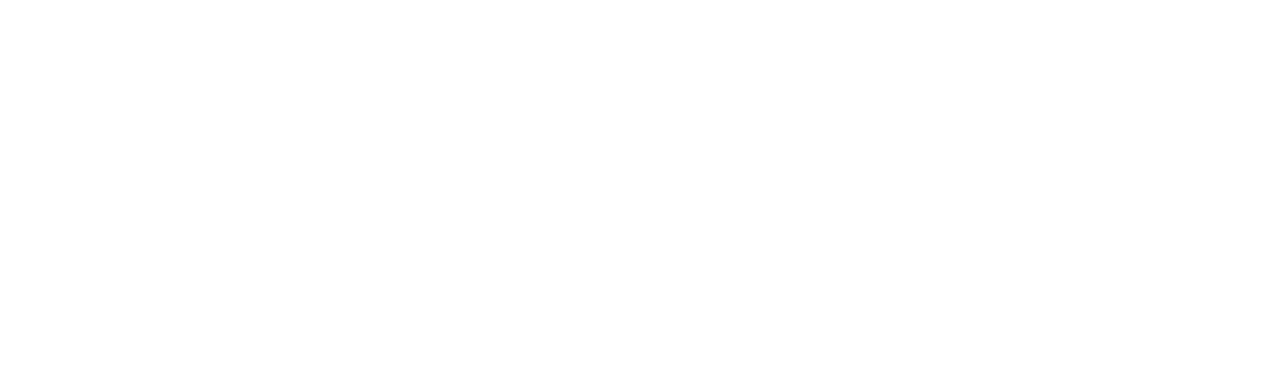 Southern Fried Homicide