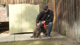Q and A with Freiburger and the New Dog