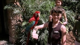 Escape to Orlando