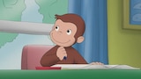 Prints of a Monkey/Lobby Sale