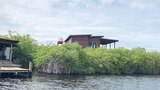 Making a Splash on Utila