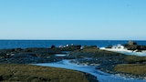 Galapagos: A Fight For Survival