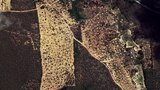 Las ruinas de una ciudad caníbal