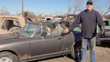 Inside Freiburger's Junkyard Thoughts