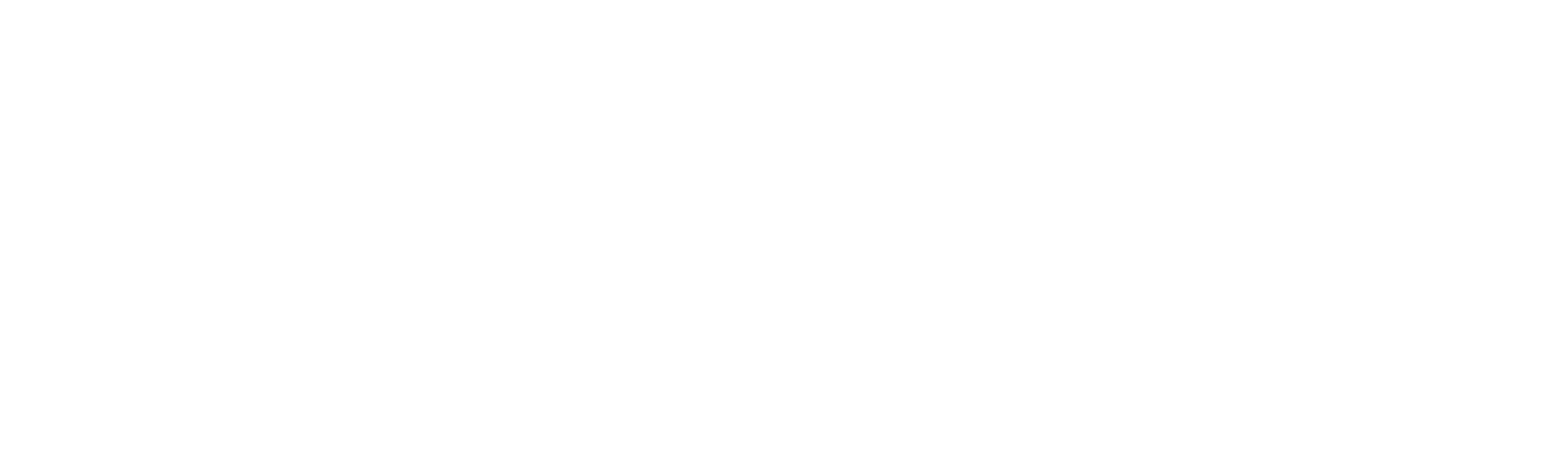 Peter Nygard: Além da Moda