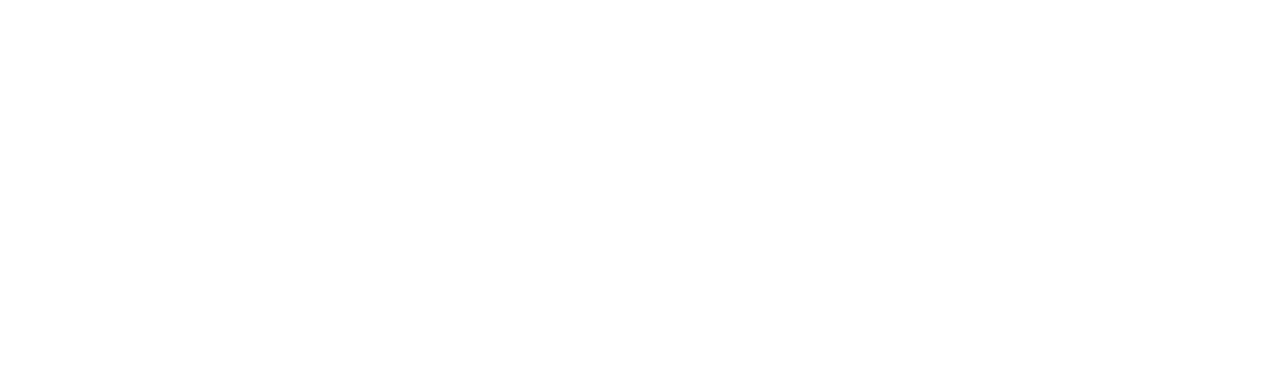 As Almas Perdidas do Voo 401