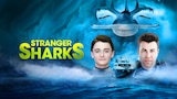 Stranger Sharks