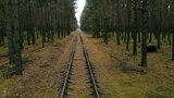 El bosque nazi del fin de los tiempos