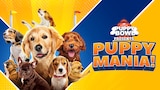 Puppy Bowl Presents: Puppy Mania!