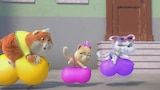 Charlie the Cat