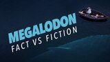 Megalodon: Fact vs Fiction