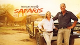 Rescatando safaris