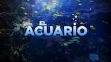 El acuario