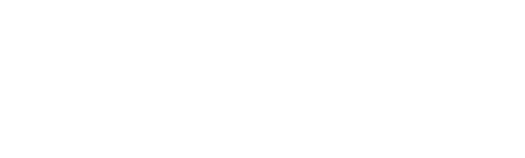 The Invisible Pilot