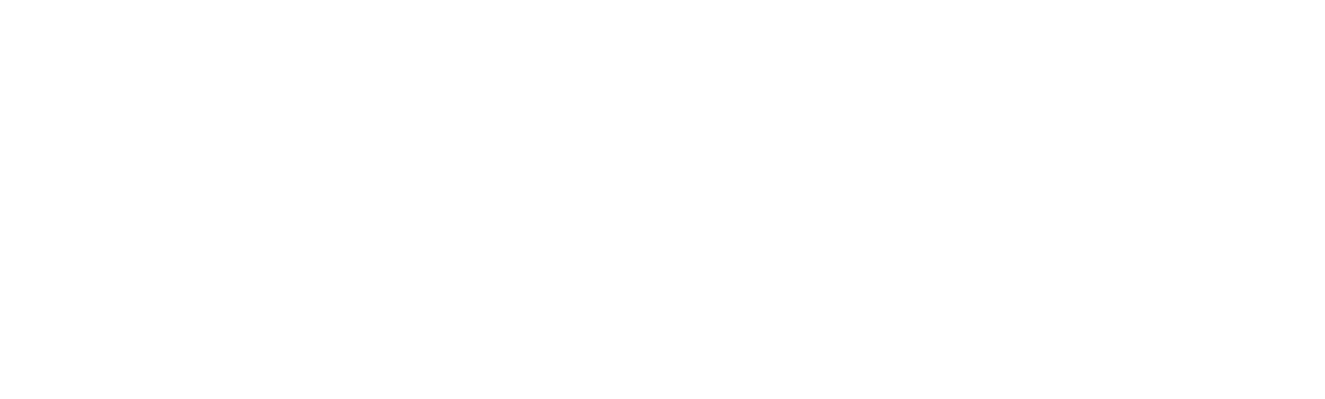 The Invisible Pilot