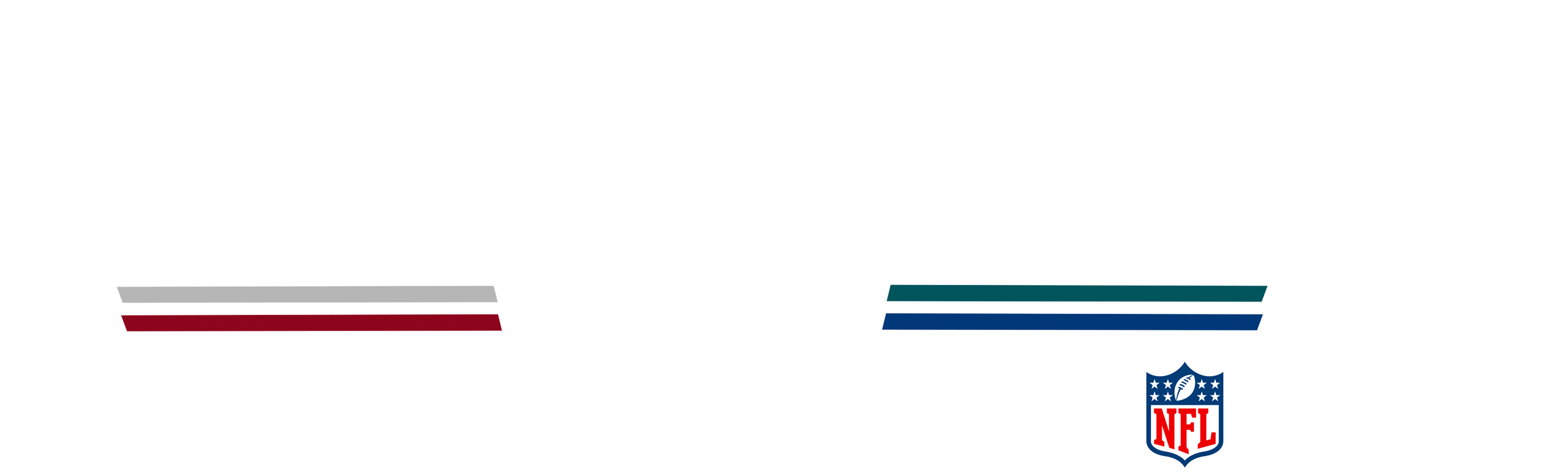 Močni udarci: Sezona NFC East