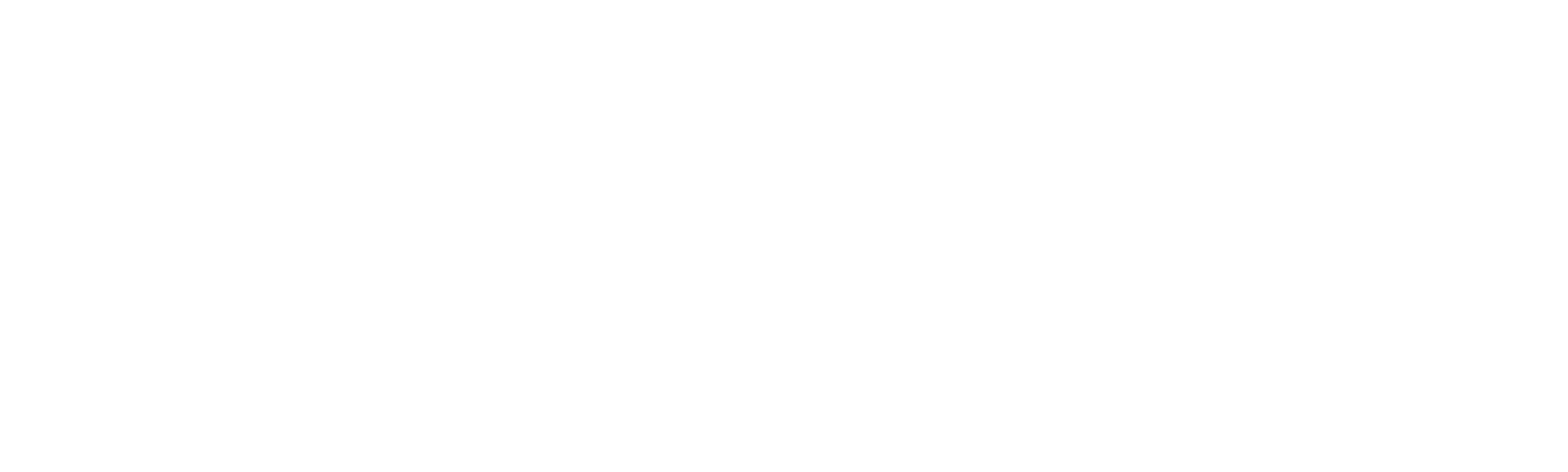 Ricky Bobby: A Toda Velocidade