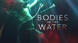 Bodies in the Water