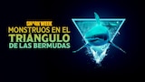 Shark Week: monstruos en el Triángulo de las Bermudas
