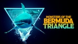Monsters of the Bermuda Triangle