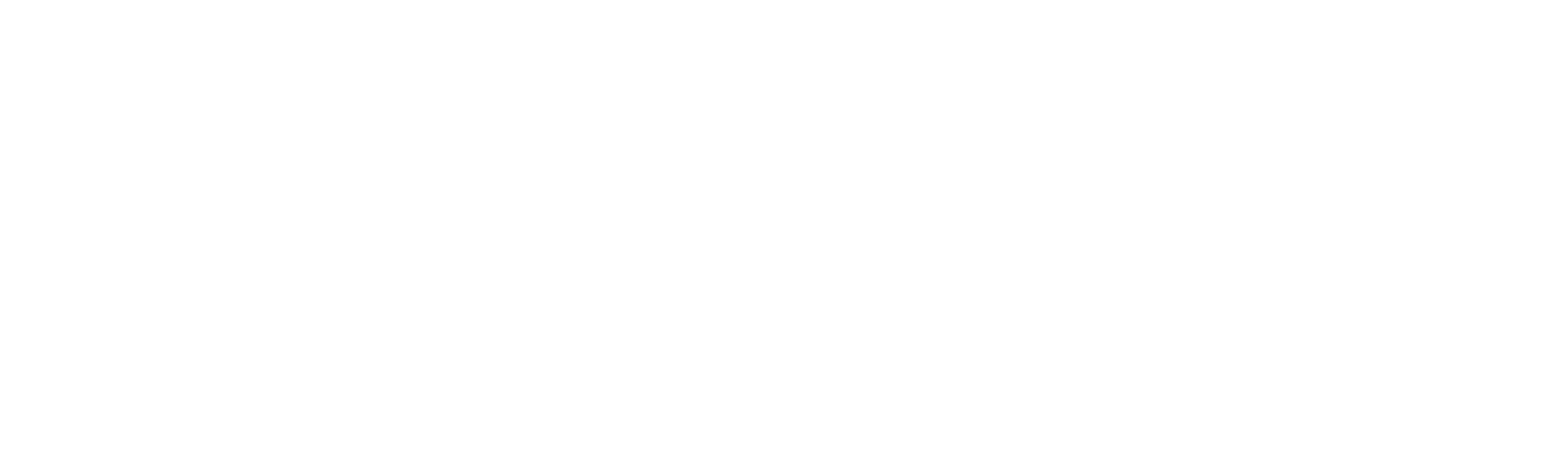 The Murder of Marianne Vaatstra