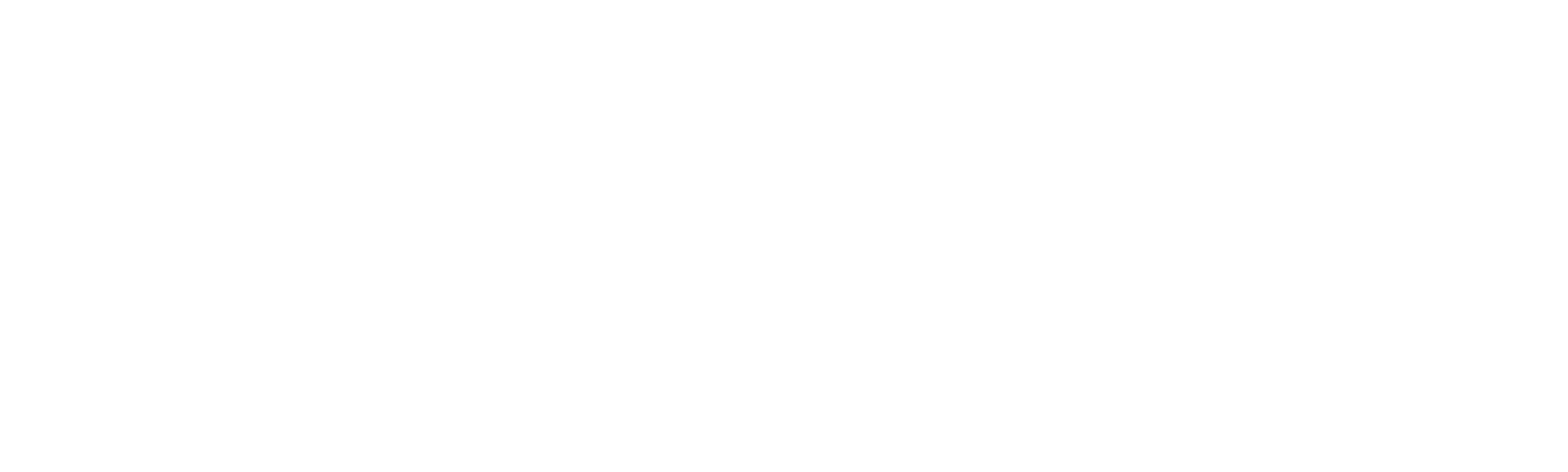 All Because of the Cat