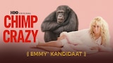 Chimp Crazy