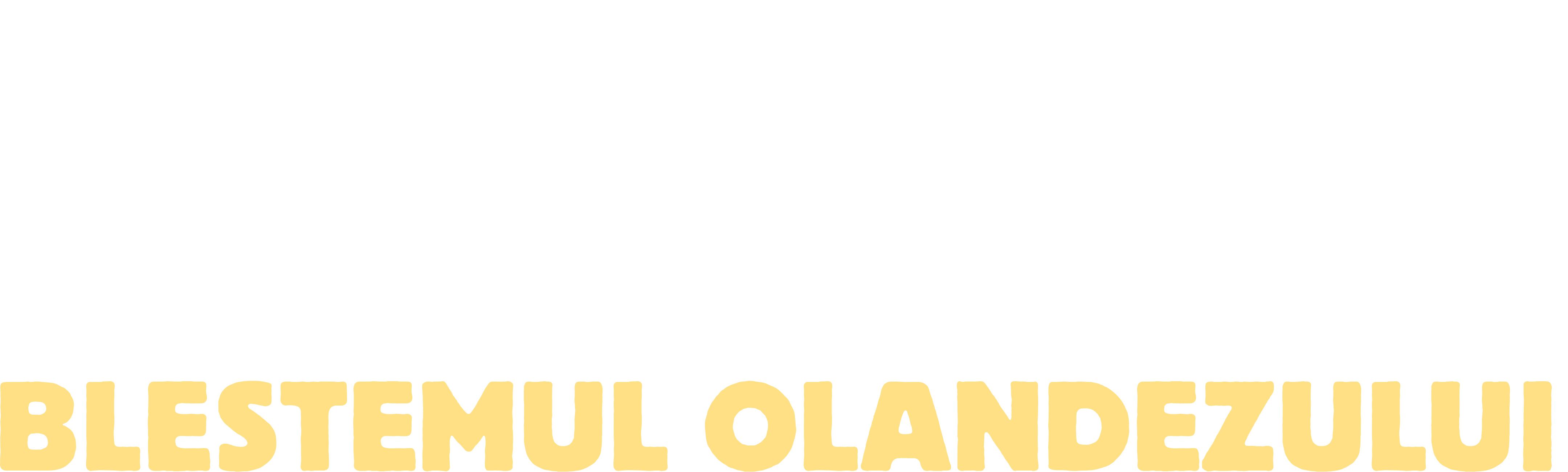 Blestemul olandezului