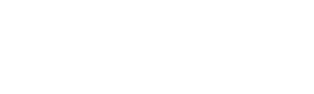 El Perro y El Gato