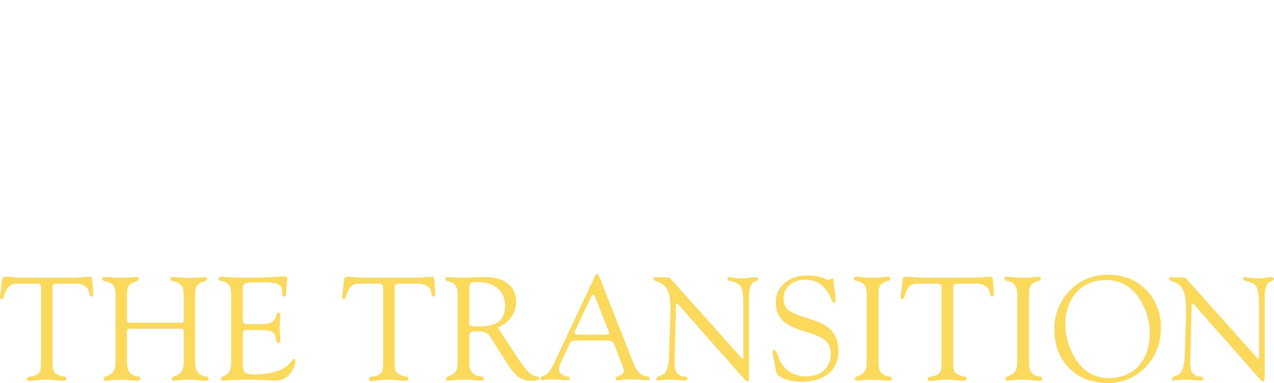 Los años de la Transición