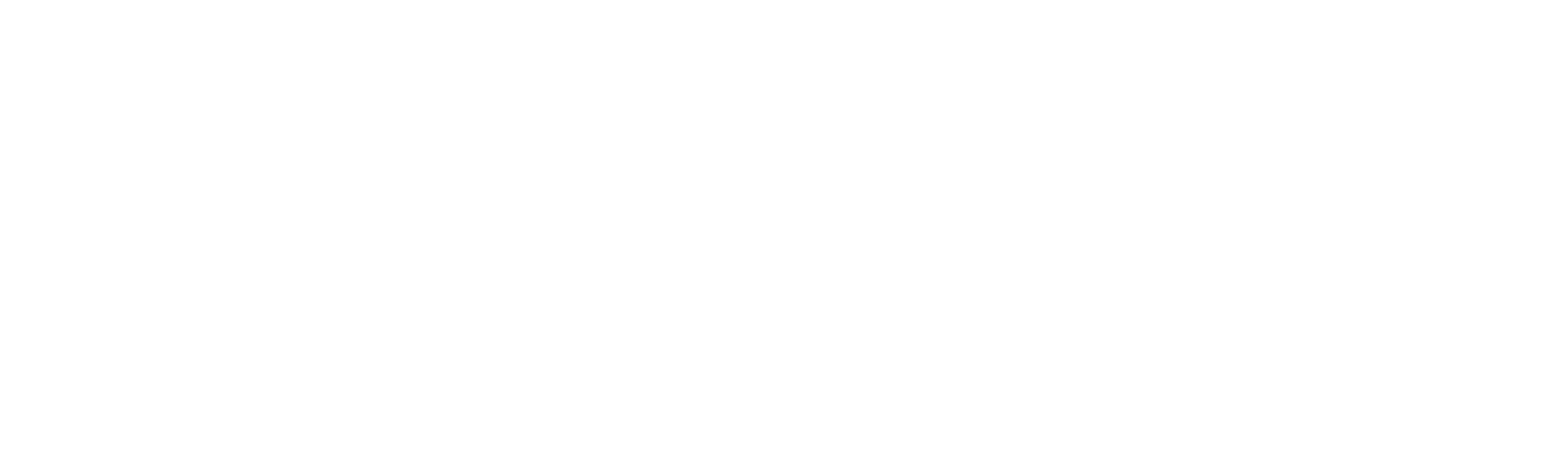 鲨鱼攻击的瞬间