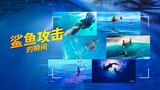 鲨鱼攻击的瞬间