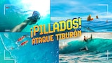 ¡Pillados! Ataque tiburón
