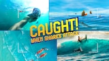 Caught! When Sharks Attack