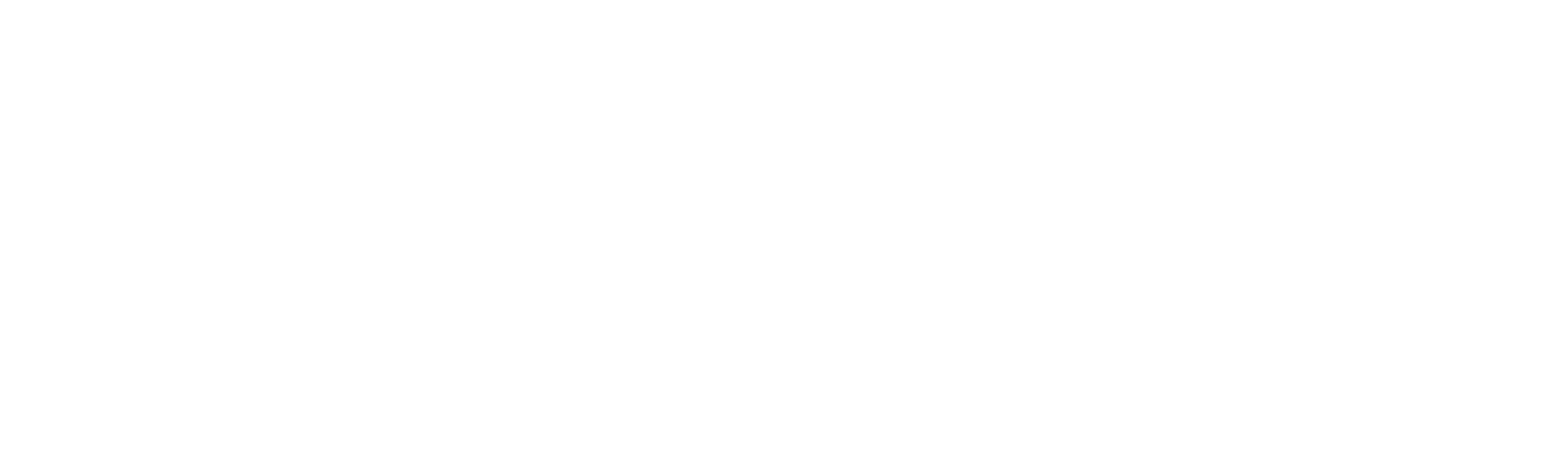 Kongsvik - nytt univers