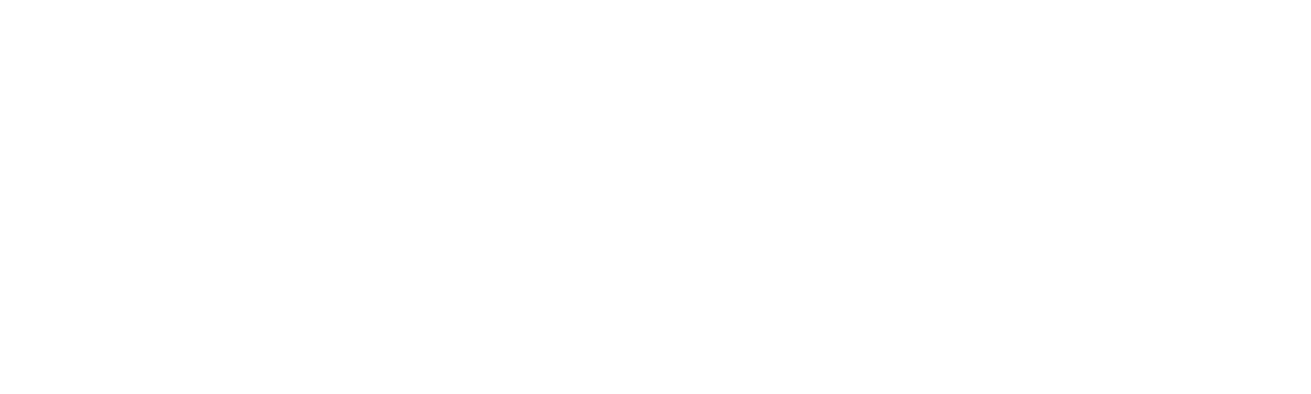 The Killing of a Chinese Bookie