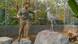 From Rescue to Sanctuary