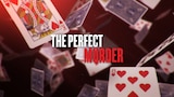The Perfect Murder